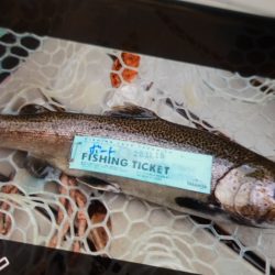 フィッシングレイクたかみや 釣果