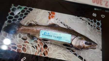 フィッシングレイクたかみや 釣果