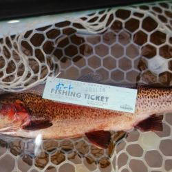 フィッシングレイクたかみや 釣果