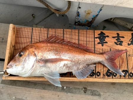 幸吉丸 釣果