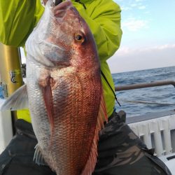 遊漁船 新鋭丸 釣果