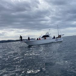 フィッシングボートACE(エース) 釣果