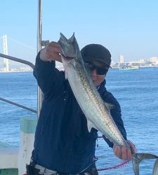 恵比寿丸(兵庫) 釣果