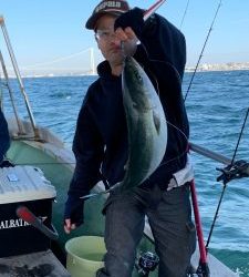 恵比寿丸(兵庫) 釣果