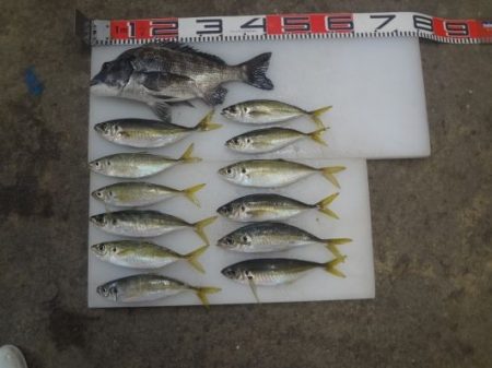 のとじま臨海公園海づりセンター 釣果