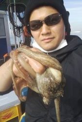 恵比寿丸(兵庫) 釣果