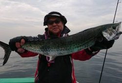 KONAYAーMARU(こなや丸) 釣果