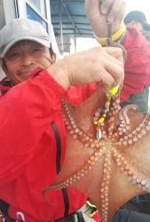 恵比寿丸(兵庫) 釣果