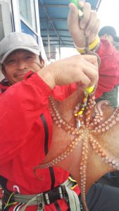 恵比寿丸(兵庫) 釣果