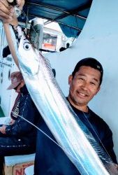 恵比寿丸(兵庫) 釣果