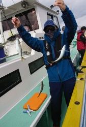 KONAYAーMARU(こなや丸) 釣果