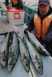 KONAYAーMARU(こなや丸) 釣果