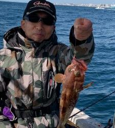 恵比寿丸(兵庫) 釣果