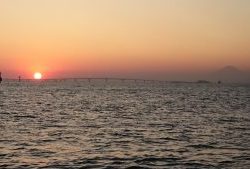 KONAYAーMARU(こなや丸) 釣果