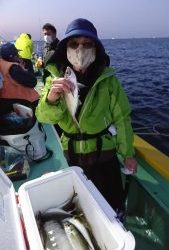 KONAYAーMARU(こなや丸) 釣果