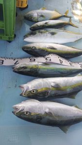 恵比寿丸(兵庫) 釣果