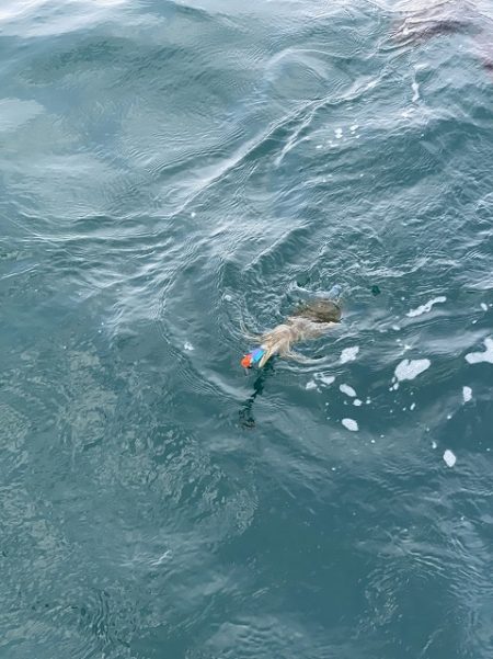 フィッシングボートACE（エース） 釣果