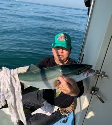 恵比寿丸(兵庫) 釣果