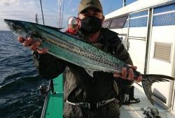 KONAYAーMARU(こなや丸) 釣果