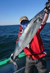 KONAYAーMARU(こなや丸) 釣果