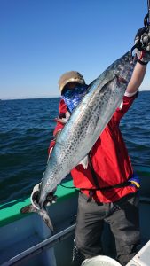 KONAYAーMARU(こなや丸) 釣果