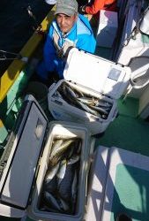 KONAYAーMARU(こなや丸) 釣果