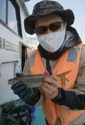 KONAYAーMARU(こなや丸) 釣果