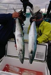 KONAYAーMARU(こなや丸) 釣果