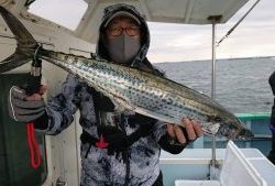 KONAYAーMARU(こなや丸) 釣果