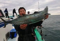 KONAYAーMARU(こなや丸) 釣果