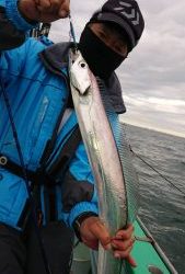 KONAYAーMARU(こなや丸) 釣果