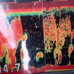 深川　吉野屋 釣果