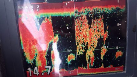 深川　吉野屋 釣果