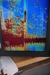 KONAYAーMARU(こなや丸) 釣果