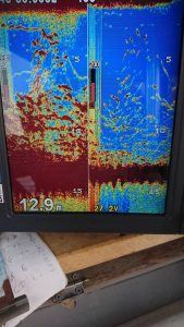 KONAYAーMARU(こなや丸) 釣果