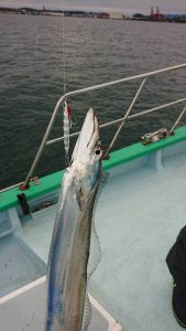 KONAYAーMARU(こなや丸) 釣果