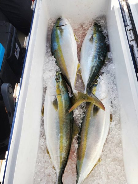 武士(SAMURAI) 釣果