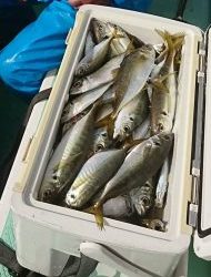 ＫＯＮＡＹＡｰＭＡＲＵ（こなや丸） 釣果