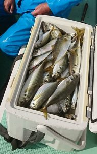 ＫＯＮＡＹＡｰＭＡＲＵ（こなや丸） 釣果