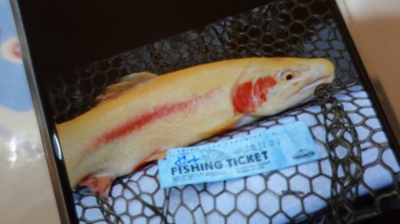 フィッシングレイクたかみや 釣果