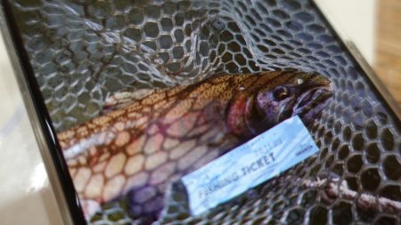 フィッシングレイクたかみや 釣果