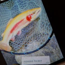 フィッシングレイクたかみや 釣果