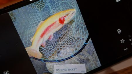 フィッシングレイクたかみや 釣果