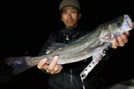 TOPGUN名古屋 釣果