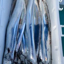 さんさん丸 釣果