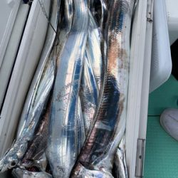 さんさん丸 釣果