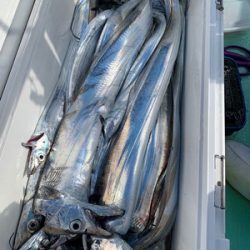 さんさん丸 釣果