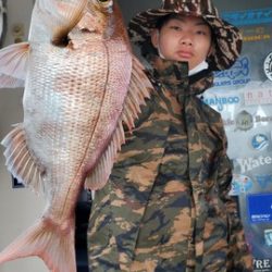 遊漁船 ニライカナイ 釣果