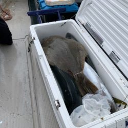 第八大安丸 釣果