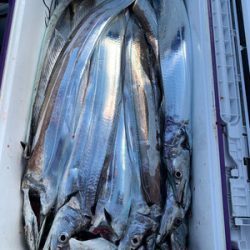 さんさん丸 釣果